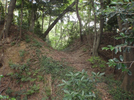 写真：金井城址