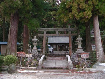 写真：鳴谷神社社叢