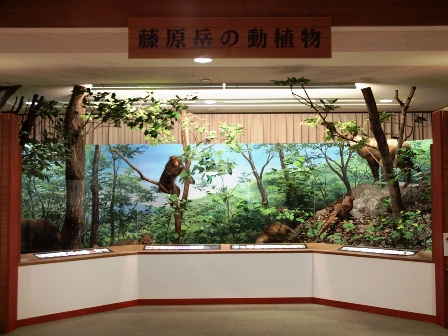 写真:藤原岳の動植物ジオラマ