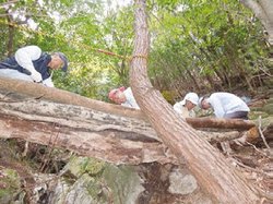 写真：登山道整備作業の様子