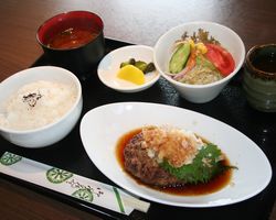 写真：日替わりランチ