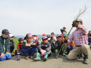 写真：地域の方が藁で縄づくりの実演をする様子を見学する児童達