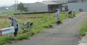 写真：石榑小学校周辺の道路の草刈りをする石榑東地区長OB会の様子