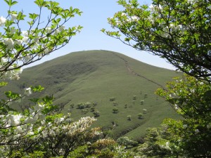 写真：標高1099mある竜ヶ岳の山頂を登っている途中から撮った風景写真