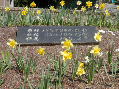 藤原小学校 たより