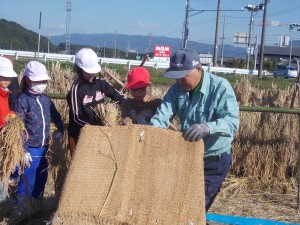 写真：学習田で刈り取った稲を足ふみ脱穀機で脱穀する児童達