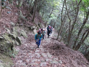 写真:砂山ハイキングで遊歩道の石段を登る参加者