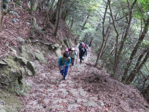 写真：砂山ハイキングで遊歩道の石段を登る参加者