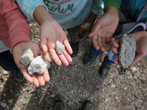 写真：道中、見たこともない鳥の羽や、遊歩道に崩 れ落ちた花崗岩や土砂の中から蛍石や水晶らしきものなど色んな発見を楽しむ子どもたちの様子