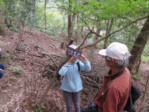 写真：地元NPO「竜の森保全会」が宇賀渓遊歩道に自生する木々に名札をつけるイベントで遊歩道の木々に名札をつける児童の様子