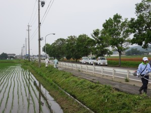 写真：石榑の里の中央を走り、児童の通学路でもある国道306号の歩道脇の草をきれいに刈り取った後の風景