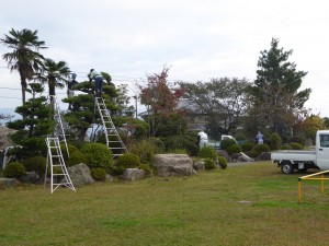 写真:庭木の剪定作業する様子