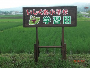 写真:石榑小学校学習田と書かれた保護者に作っていただいた看板