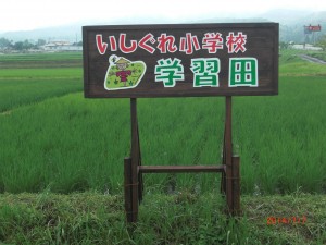 写真：石榑小学校学習田と書かれた保護者に作っていただいた看板