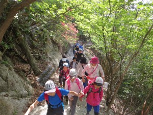 写真：緑に囲まれた山道を登る参加者