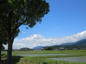 写真:晴天での田んぼと山の風景