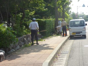 写真：学校の敷地から歩道に出ている枝を石榑東自治会長OBの方が剪定する様子