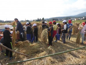 写真：大勢の児童がよいしょよいしょと刈り取った稲を運ぶ様子