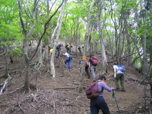 竜ヶ岳登山と砂山ハイキングを行います