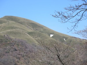 竜ヶ岳登山と砂山ハイキングを行います