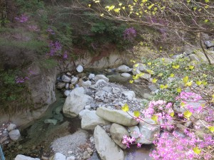 竜ヶ岳登山と砂山ハイキングを行います