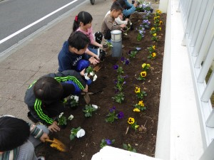 学校前花壇の花植えをしました