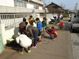 学校前花壇はもうお正月