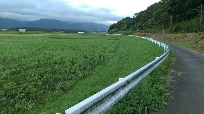 土手の画像