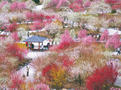 写真：農業公園