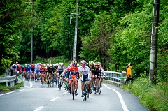 写真：レースの様子