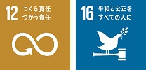 sdgs12.16