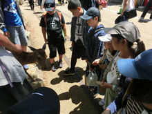 <修学旅行> 5月17日(水曜日)、18日(木曜日) 京都・奈良方面