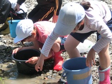 3年生 鮎の放流