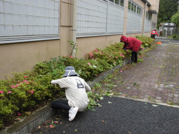 草取り