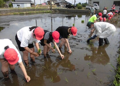 田植え