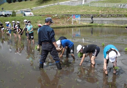 田植え