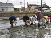 田植え