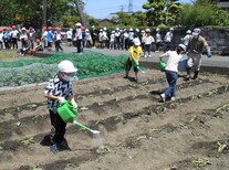 つるさし