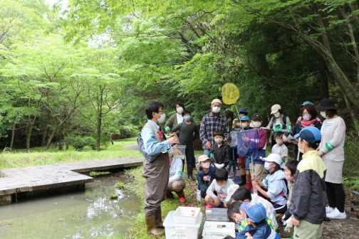 写真：ため池の生物を調べよう