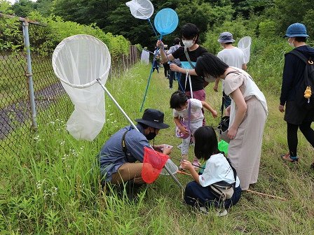 写真:令和3年度「チョウの標本をつくろう」