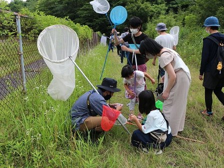 写真：令和3年度「チョウの標本をつくろう」