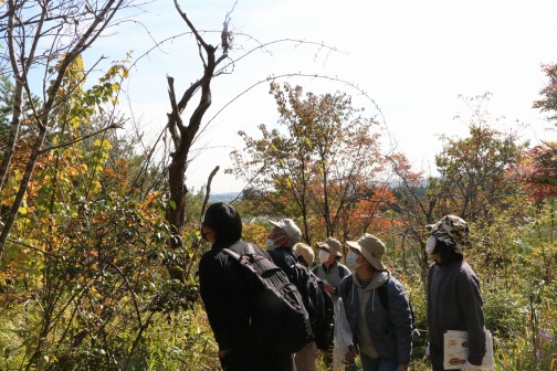 写真:令和3年度「クモ絵を調べる会」