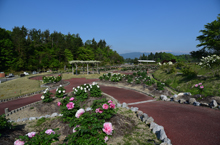 写真：農業公園（エコ福祉広場）