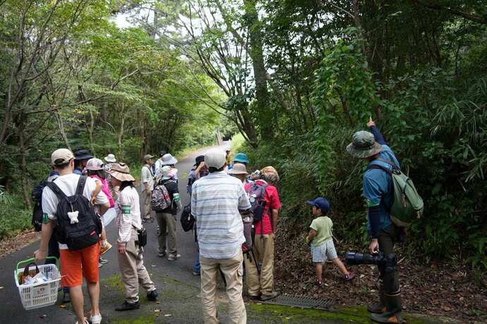 「いなべ公園の自然観察」