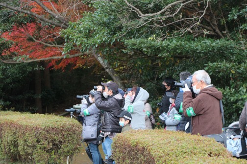 写真：令和3年度「冬の野鳥を見る会」