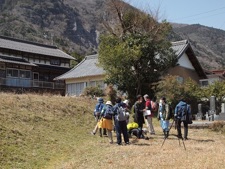 写真：令和2年度「早春の花を見る会」