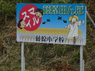 田