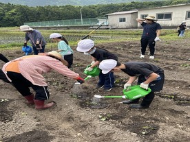 つるさし