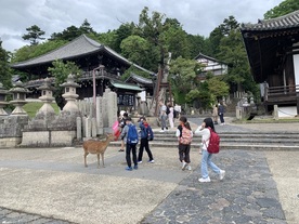 東大寺しか