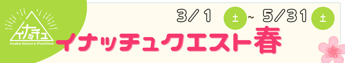 イナッチュクエストイメージ画像